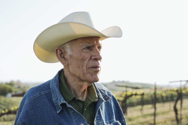Hispanic farmer standing in vineyard