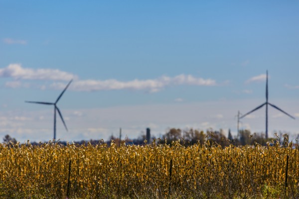Wind turbines in rural field