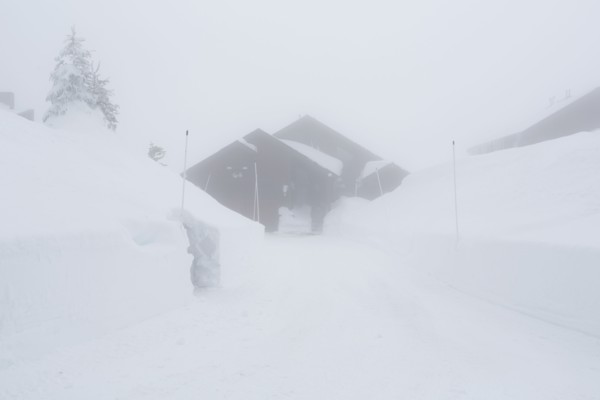 Snow drifts near driveway and house