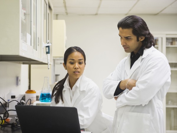 Scientists working in laboratory