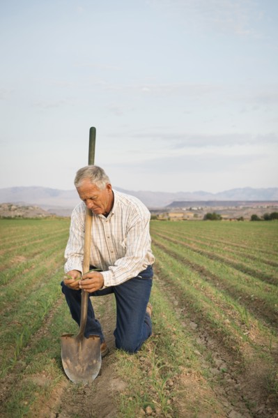 Caucasian farmer planting seeds in crop field
