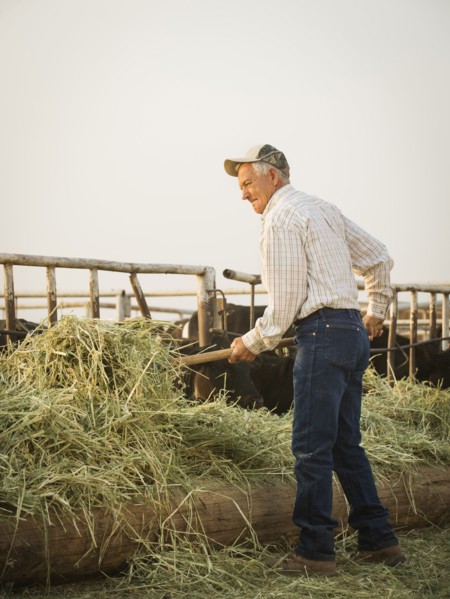 Caucasian farmer forking hay