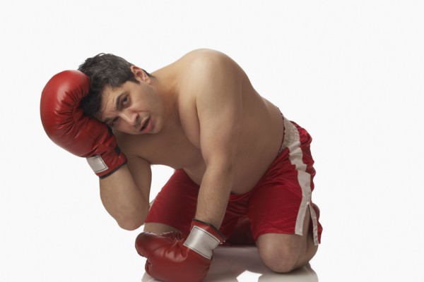 Overweight boxer kneeling on floor