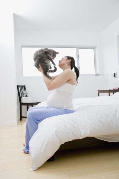 Pregnant Asian woman holding cat