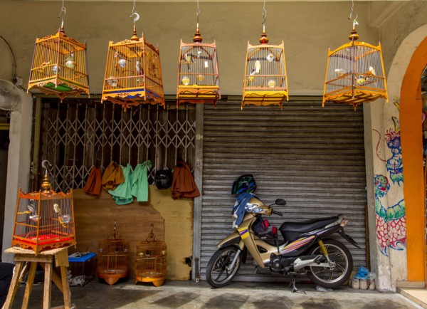 Motorcycle parked outside birdcage shop