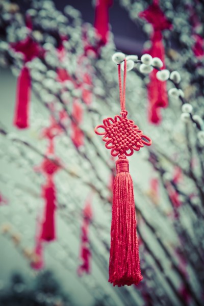Decorations hanging from plants