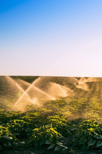 Illuminated sprinklers watering crop field