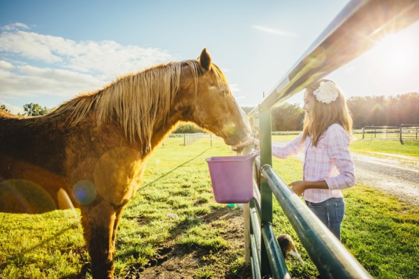 Caucasian girl feeding horse on ranch