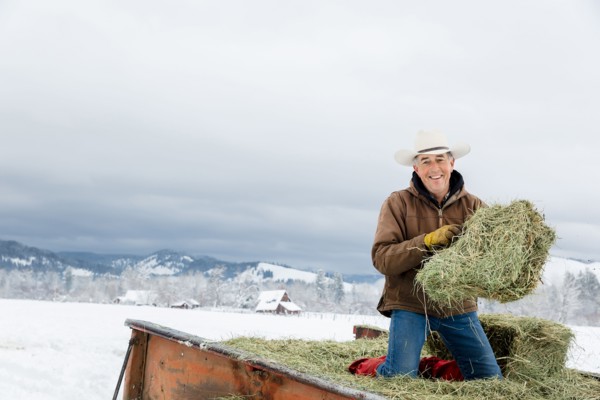 Caucasian farmer hauling hay in snowy field