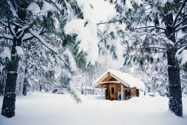 Cabin in snowy rural forest