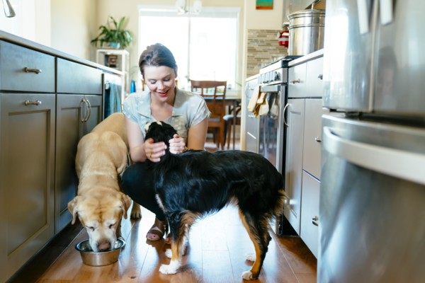 Woman feeding and petting dogs in domestic kitchen