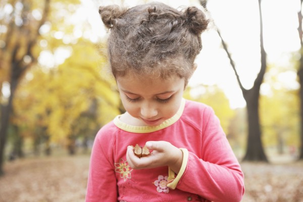 Hispanic girl examining plants outdoors