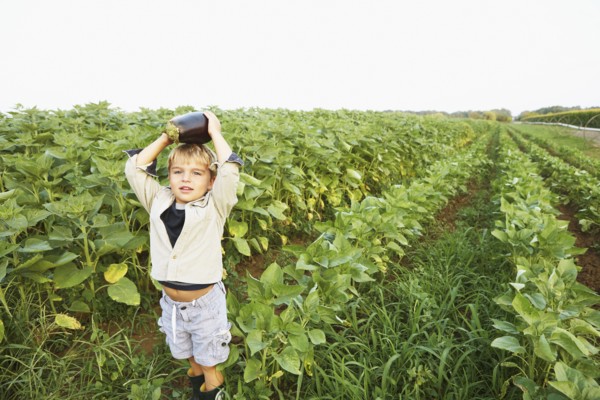Caucasian boy picking vegetables in field