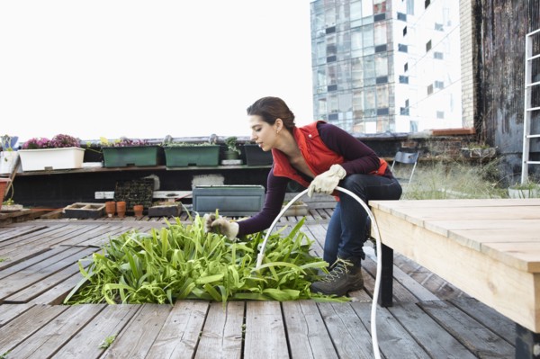 Woman watering plants in urban rooftop garden