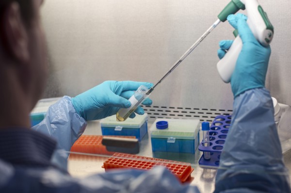 Mixed race scientist pipetting solution into test tubes in lab