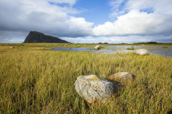 Rock formations in grassy coastline under blue sky