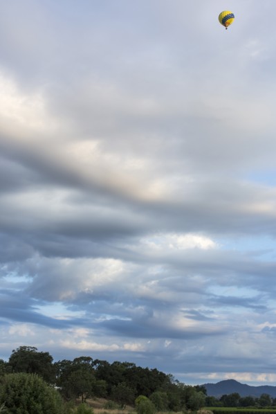 Hot air balloon flying over rural landscape