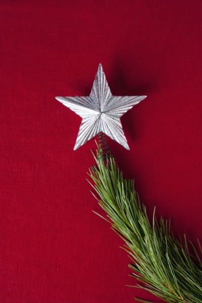 Silver star on branch of Christmas tree