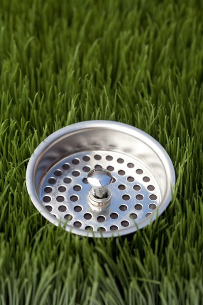 Close up of sink strainer in grass