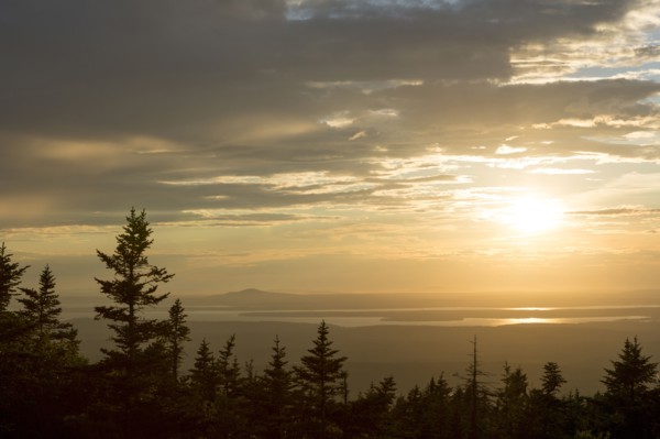 Sunrise over treetops in remote landscape