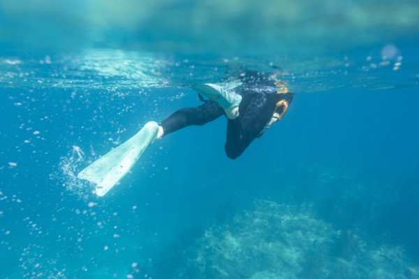 Caucasian woman snorkeling in tropical ocean