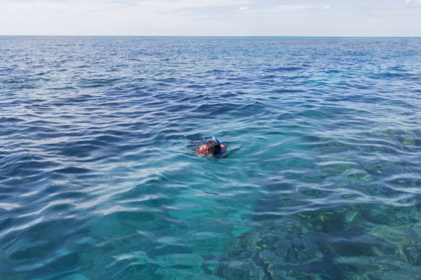 Caucasian woman snorkeling in ocean