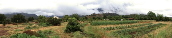 Panoramic view of farm fields in rural landscape