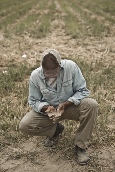 African American farmer checking dirt in field