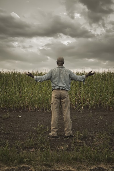 African American farmer standing in field with arms outstretched