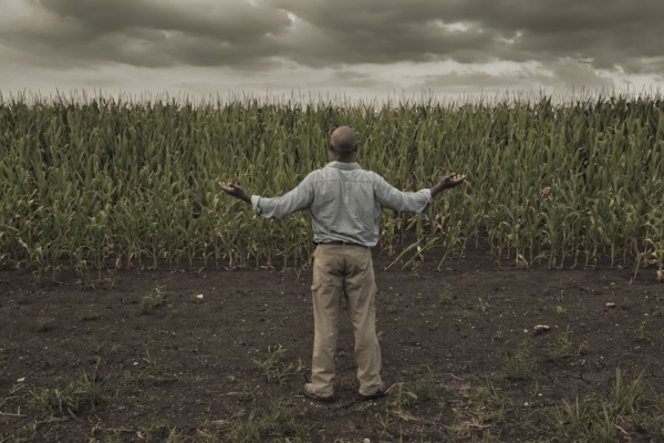 African American farmer standing in field with arms outstretched