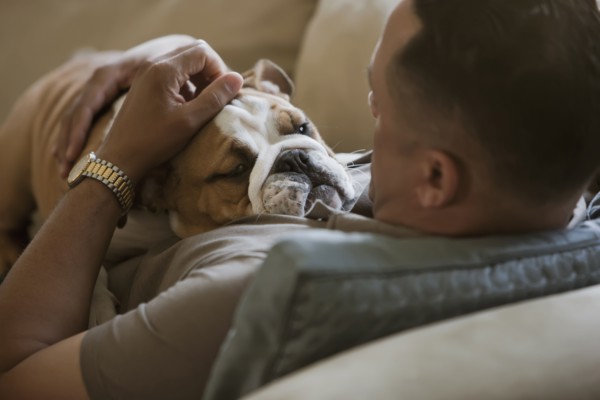 Black man petting English bulldog