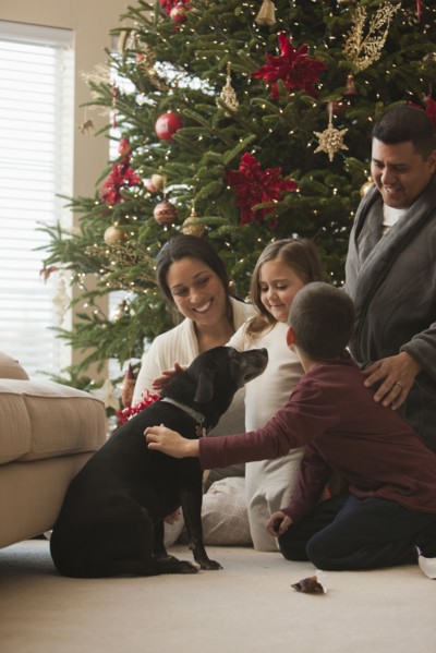 Family petting dog in living room on Christmas morning