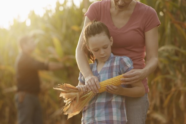 Caucasian mother and daughter examining ear of corn