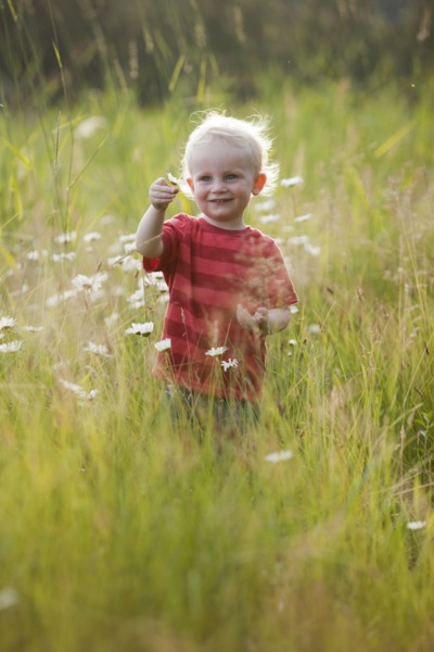 Caucasian boy admiring flowers in tall grass