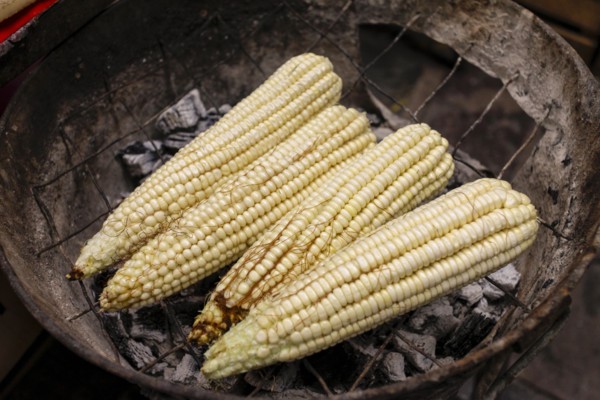 Corn cobs on grille
