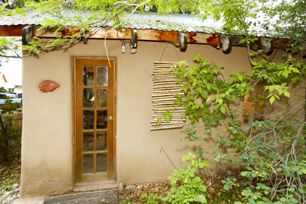 Foliage growing on house
