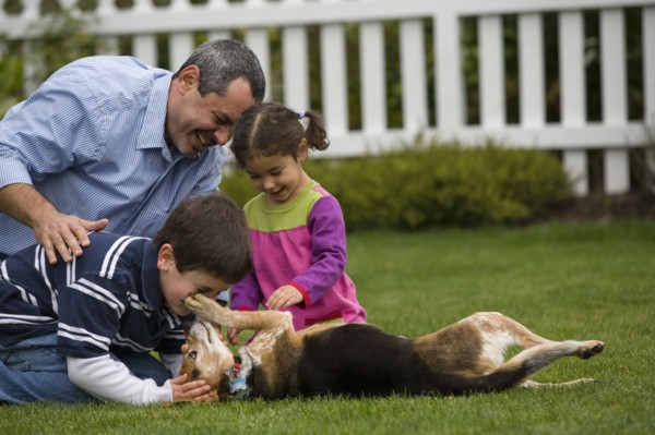 Family playing with dog in backyard