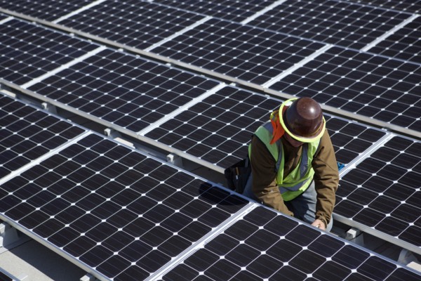 Worker examining solar panels outdoors
