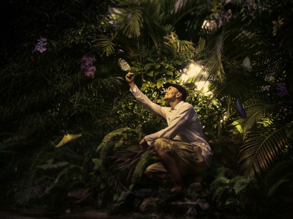 Caucasian man exploring butterflies in remote forest