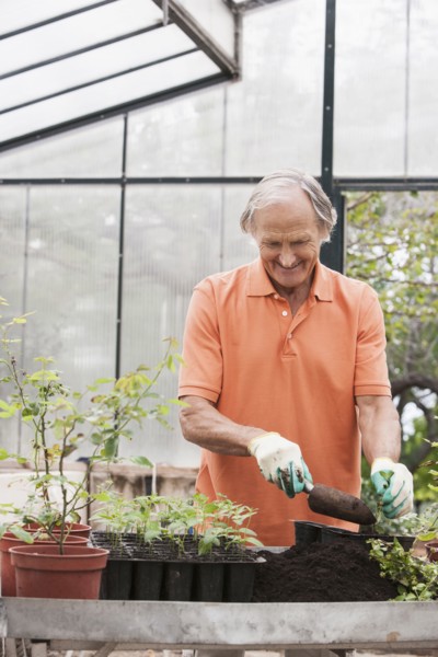 Man potting plants in greenhouse