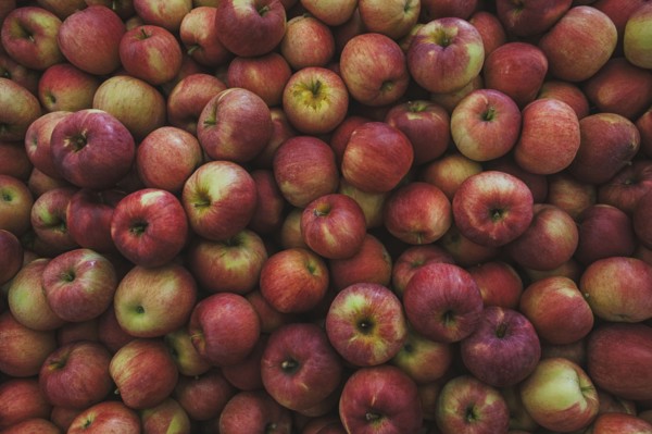 Pile of fresh apples