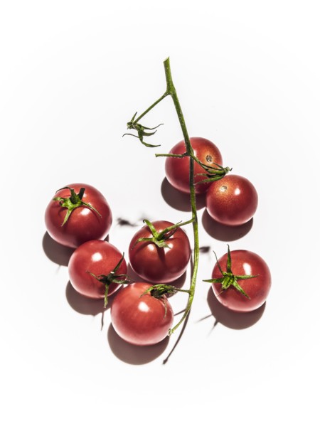 Tomatoes on vine