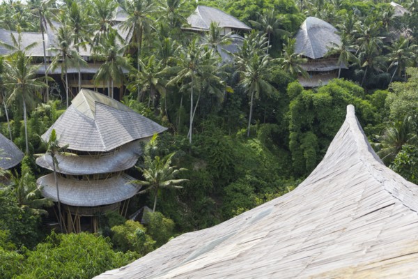 Treehouse rooftops of tropical hotel