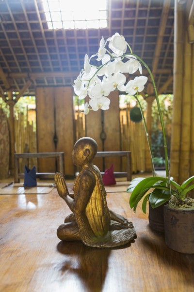 Flowers and statue in Hindu temple