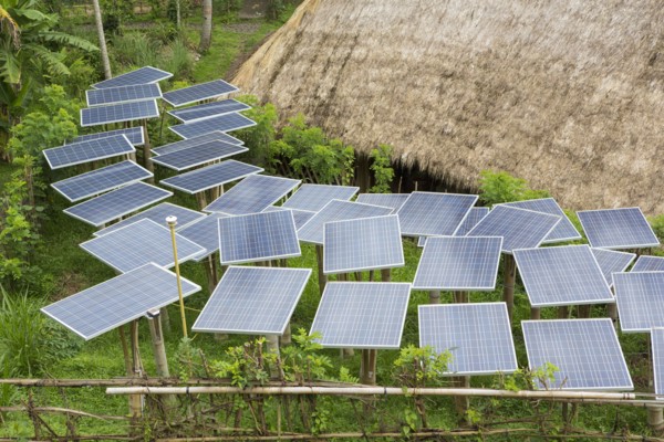 Solar panels in tropical garden