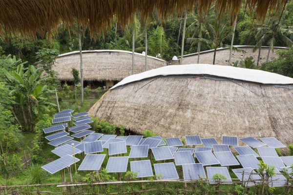 Solar panels in tropical garden