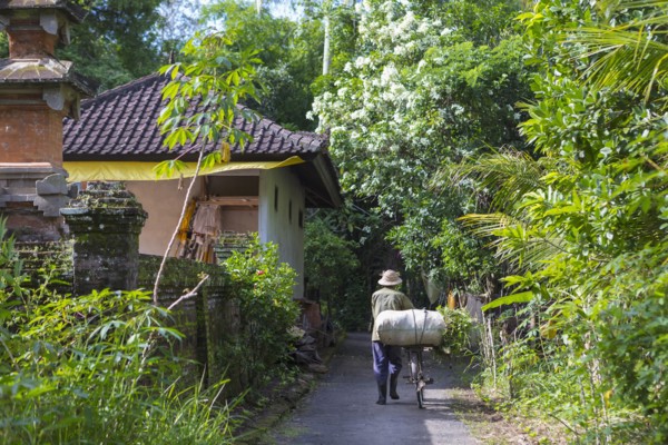 Man pushing bicycle on tropical path