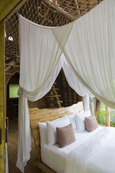 Canopy over bed in hotel room