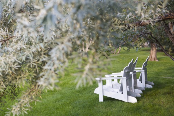 White adirondack chairs under tree