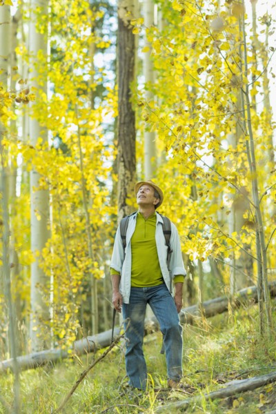 Man exploring autumn forest